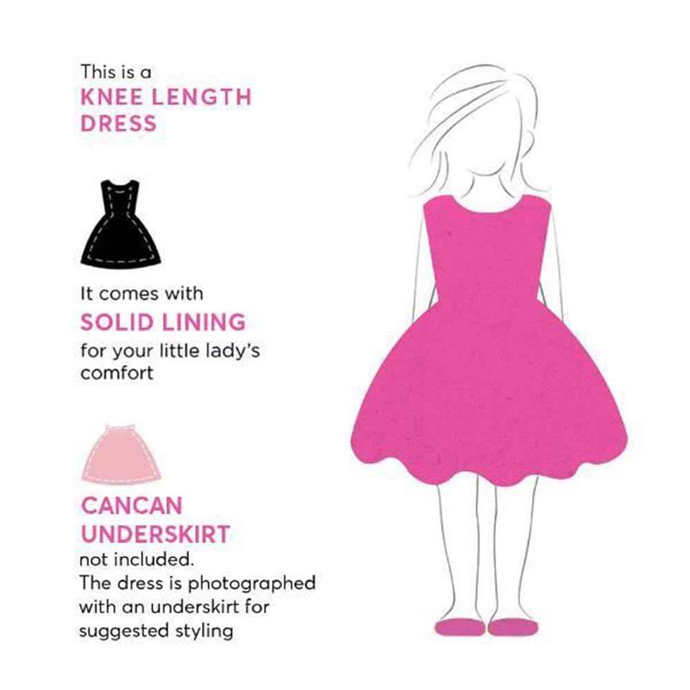 Hopscotch Girl's Fit And Flare Knee Length Sleeveless Star Embroidered Party Dress