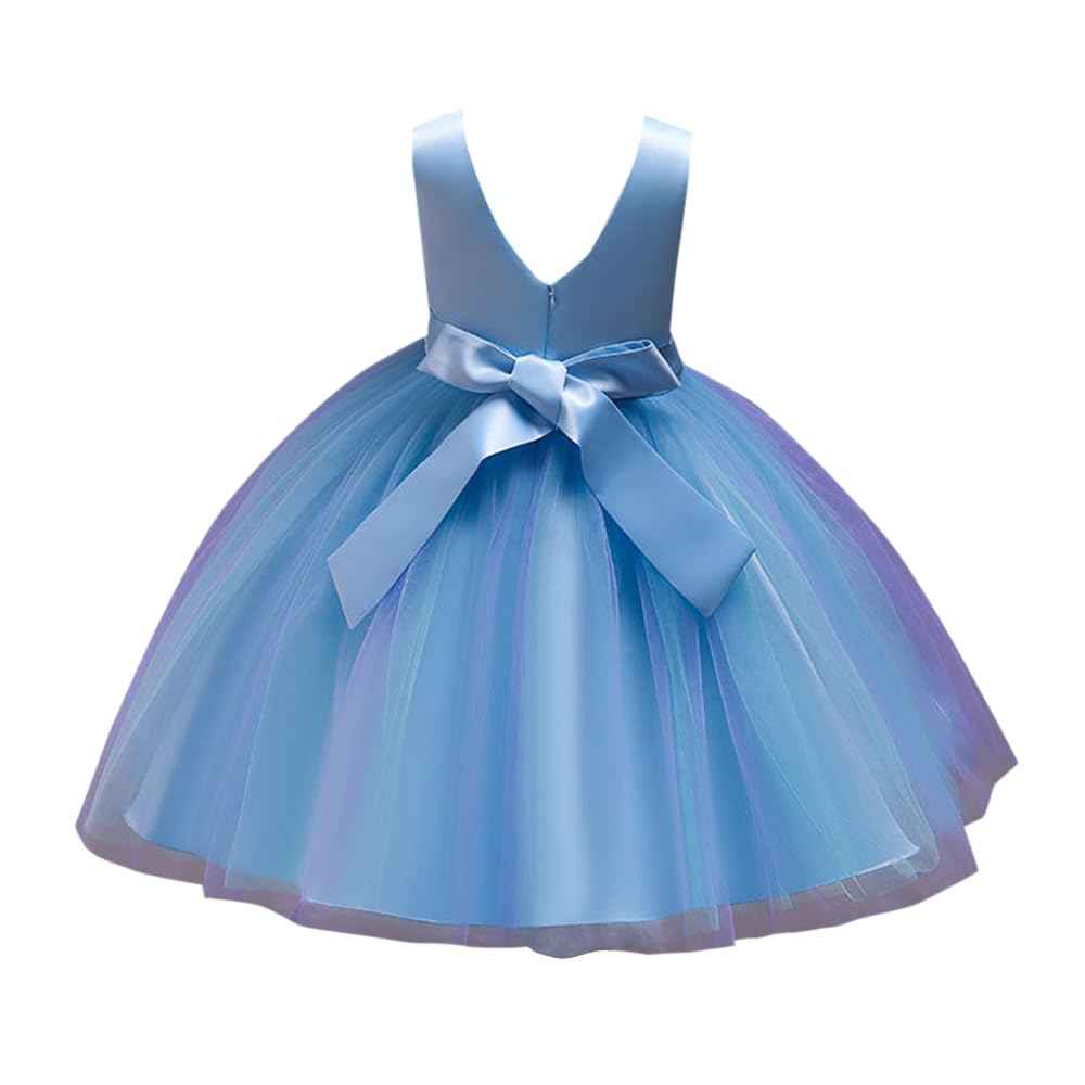 Hopscotch Girl's Fit And Flare Knee Length Knee-Length Polyester- Blend Floral Applique Sleeveless Party Dress