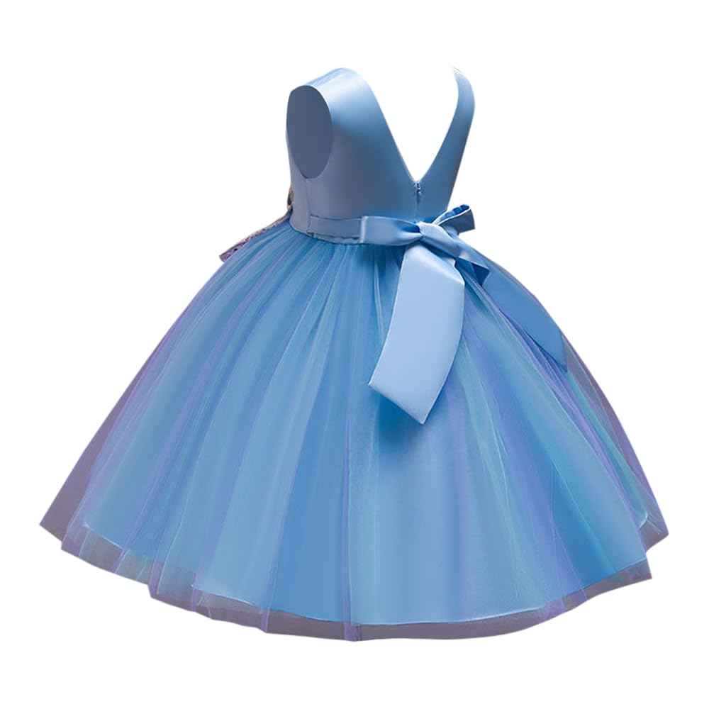 Hopscotch Girl's Fit And Flare Knee Length Knee-Length Polyester- Blend Floral Applique Sleeveless Party Dress