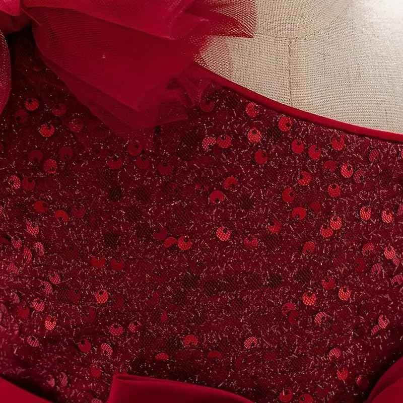 Niren Enterprise Barbet Sequence Embroidered Net Flaired Sleeve Less Baby Knee Length Girl's Frock