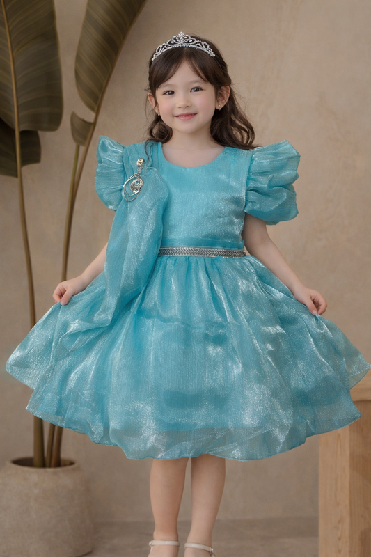 Sky Blue Girls Dress with Shimmering Fabric for Girls